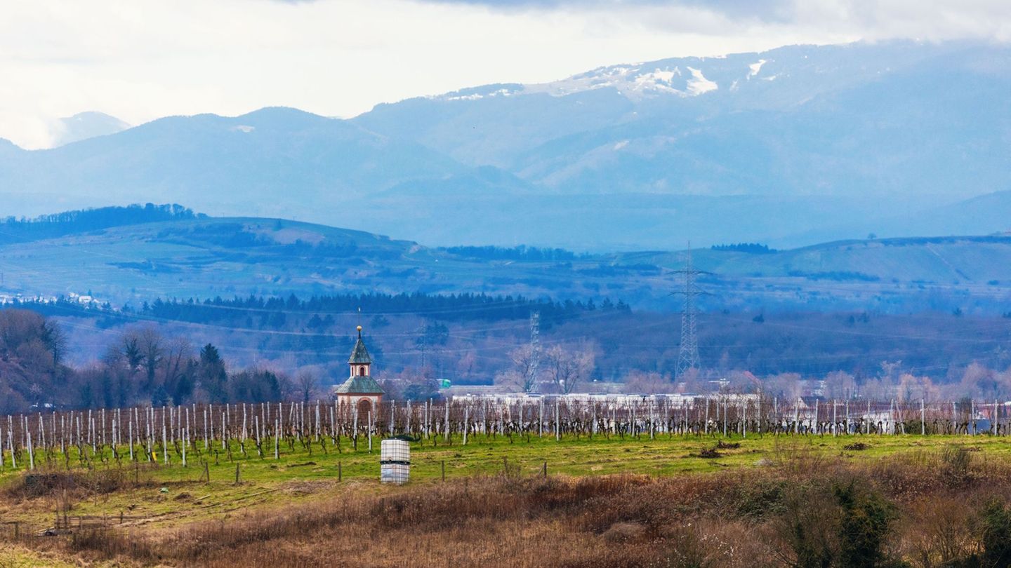 In den nächsten Tagen wird es frühsommerlich in Baden-Württemberg. Foto: Philipp von Ditfurth/dpa