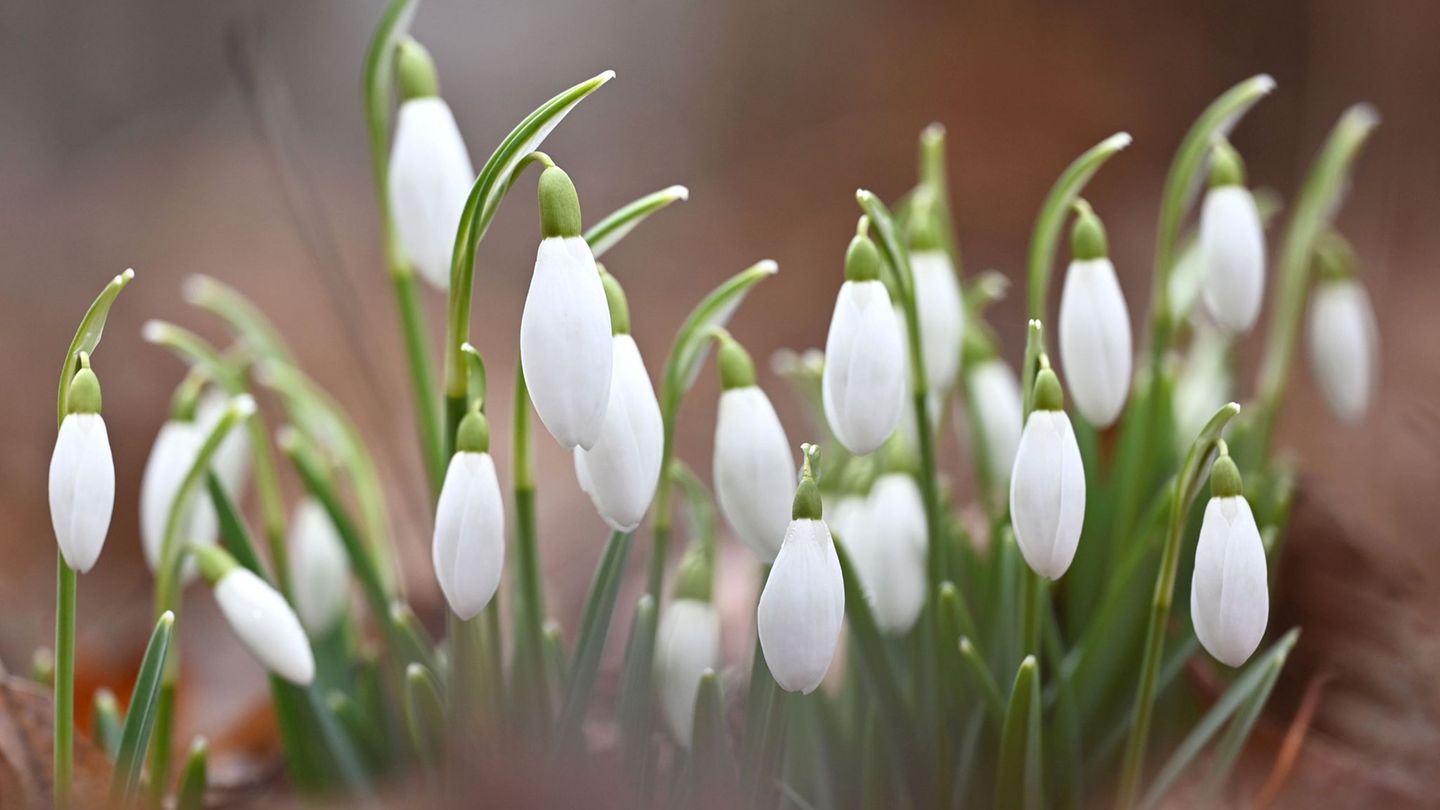 Die Temperaturen in Bayern steigen weiter an. (Symbolbild) Foto: Katrin Requadt/dpa