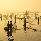 In Pabna, Bangladesch, findet an einem nebligen Wintermorgen ein jahrhundertealtes traditionelles Fischerfest statt. Das Fest, bei dem Hunderte Fischer inmitten atemberaubender Natur zusammenkommen, zieht Schaulustige von nah und fern an – und erinnert daran, wie eng das Leben der Menschen mit ökologischen Kreisläufen verbunden ist.  Besonders von der Jury gelobt in der Kategorie „Natur, Nahrung und Landwirtschaft“: Joy Saha, „Catch of the Day“