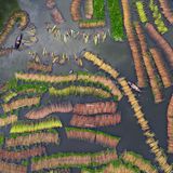 In Natore, Bangladesch, treiben Tausende Jutestangen im Wasser und bilden ein faszinierendes Muster. Landwirte weichen die Jute im Wasser ein, um die Fasern von den Pflanzenstängeln zu trennen. Sie werden für diverse Textilien verwendet, etwa Garne, Teppiche oder Vorhänge.  Sieger der Kategorie „Natur, Nahrung und Landwirtschaft“: Joy Saha, „Jute Processing“
