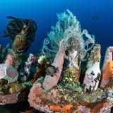 Spuren, die der Mensch hinterließ: Erst beim zweiten Hinsehen offenbaren sich Kisten mit Flaschen, die auf dem Meeresgrund vor den Philippinen von verschiedenfarbigen Organismen besiedelt werden.  Sieger der Kategorie „Mensch und Natur“: Guido Villani, „An unusual backdrop“