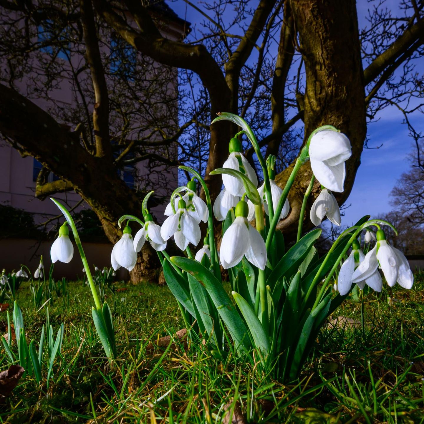 Der Frühling kommt mit dem Wetter am Mittwoch