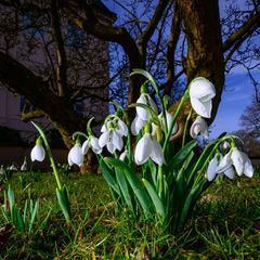 Der Frühling kommt mit dem Wetter am Mittwoch
