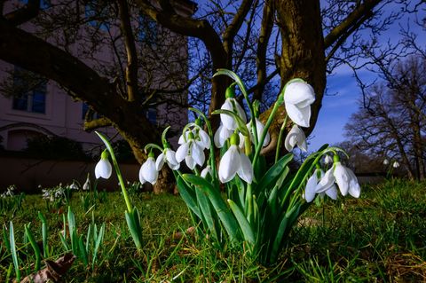 Der Frühling kommt mit dem Wetter am Mittwoch