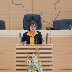 Schleswig-Holstein versichert der Ukraine Solidarität und Unterstützung. Foto: Marcus Brandt/dpa