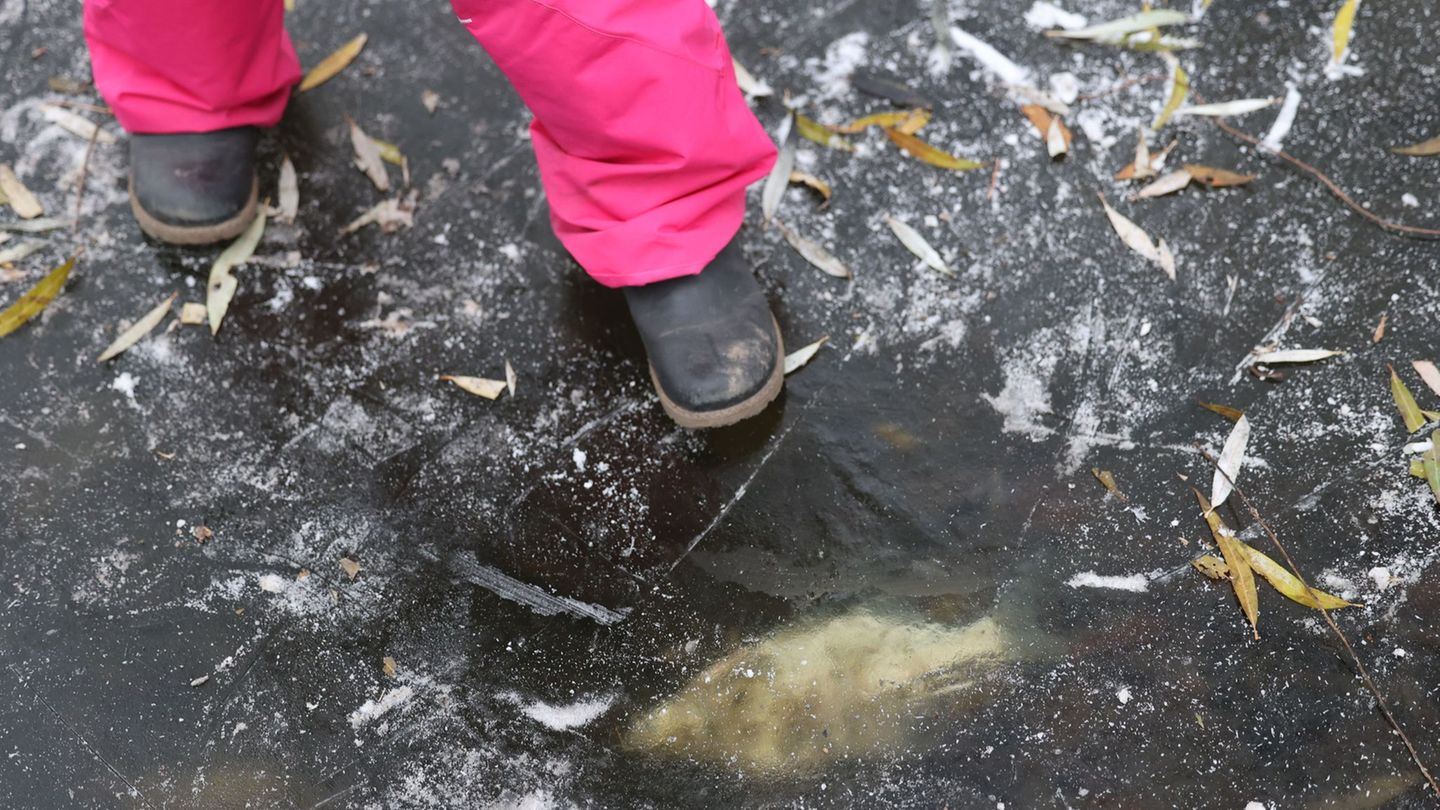 Der Sauerstoffmangel führt zum Tod der Tiere. (Archivbild). Foto: Jörg Carstensen/dpa