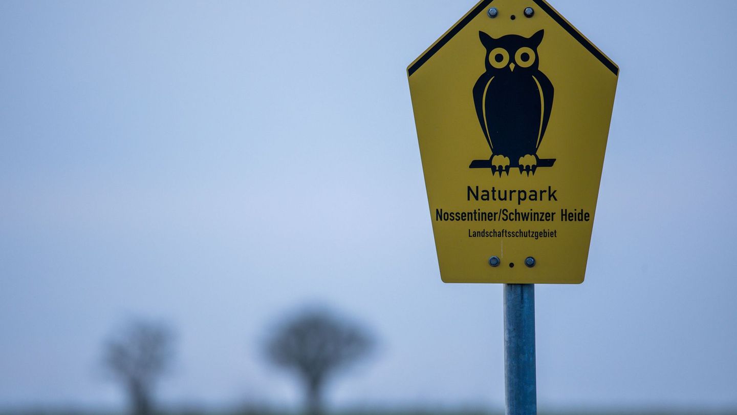 Die Mühen haben sich gelohnt: Der Naturpark Nossentiner/Schwiner Heide ist Internationaler Sternenpark. Foto: Jens Büttner/dpa