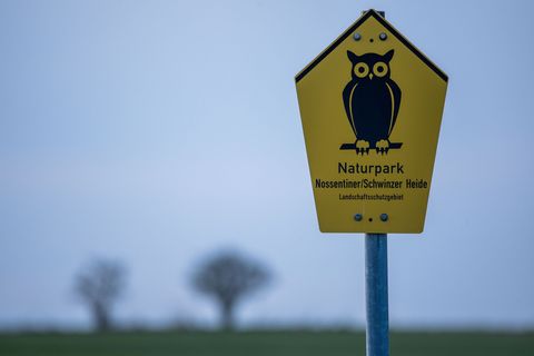 Die Mühen haben sich gelohnt: Der Naturpark Nossentiner/Schwiner Heide ist Internationaler Sternenpark. Foto: Jens Büttner/dpa