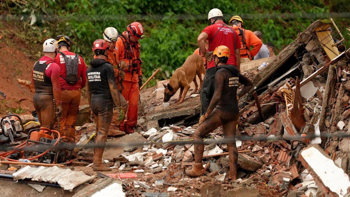 Feuerwehrleute und ein Suchhund suchen in den Überresten eines Hauses nach Überlebenden.