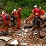 Feuerwehrleute und ein Suchhund suchen in den Überresten eines Hauses nach Überlebenden.