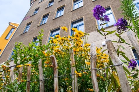 Das Magdeburger Wohnprojekt "Bunte Butze" wurde letztes Jahr für die Sanierung eines Gründerzeithauses zum CO2-neutralen Mehrgen