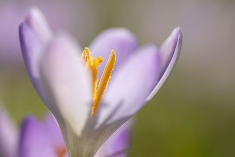 Am Freitag wackelt der Rekord für den wärmsten Februar-Tag. Foto: Sebastian Kahnert/dpa