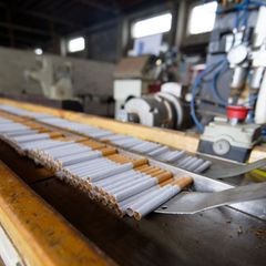 Zigaretten aus einer illegalen Fabrik - von der Zollfahndung bei einer Pressekonferenz ausgestellt (Archivfoto) Foto: Henning Ka