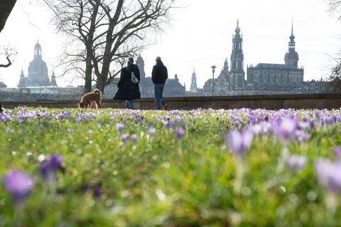Frühlingshaftes Wetter kündigt sich schon vor dem meteorologischen Frühlingsbeginn am 1. März an. Foto: Sebastian Kahnert/dpa