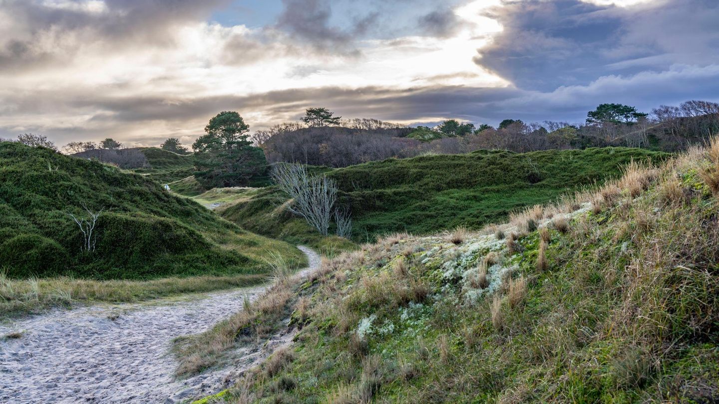 Touristensteuer-Ranking : 5,50 Euro pro Gast und Nacht – hier tut die Kurtaxe wirklich weh