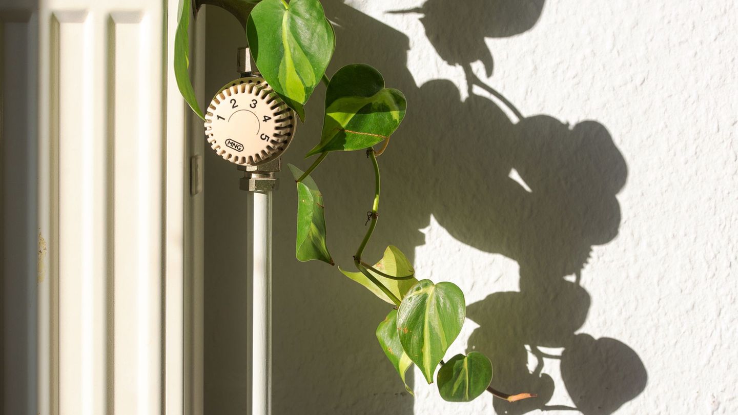 Die schwarz-rote Koalition hat die Weichen beim Heizungsgesetz neu gestellt. Foto: Fernando Gutierrez-Juarez/dpa