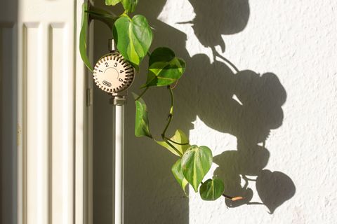 Die schwarz-rote Koalition hat die Weichen beim Heizungsgesetz neu gestellt. Foto: Fernando Gutierrez-Juarez/dpa