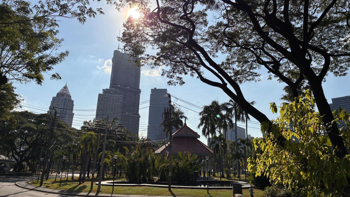 Bäume und Wolkenkratzer, fotografiert im Lumphini-Park in Bangkok