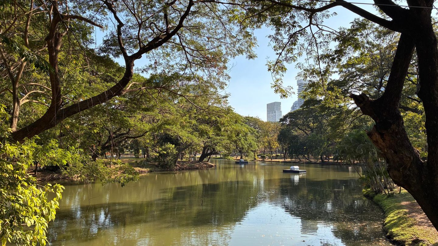 Natur im Lumphini-Park in Bangkok (Thailand)