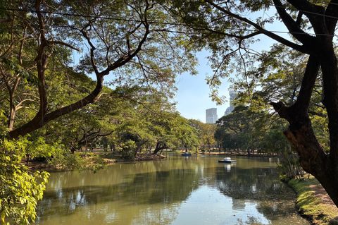 Natur im Lumphini-Park in Bangkok (Thailand)