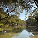 Natur im Lumphini-Park in Bangkok (Thailand)