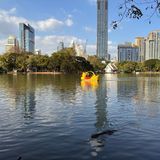 Tretboot und Waran im Lumphini-Park in Bangkok