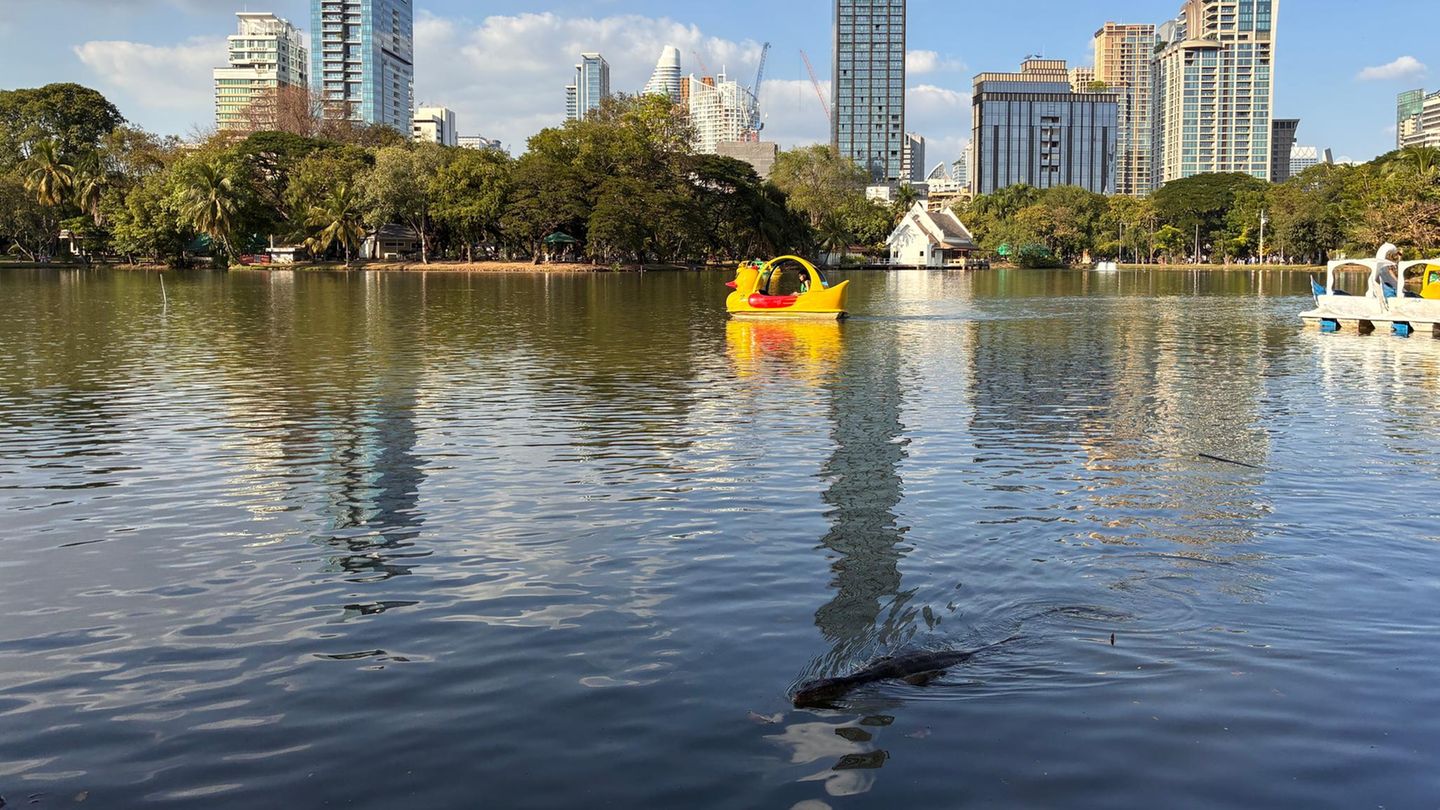 Tretboot und Waran im Lumphini-Park in Bangkok