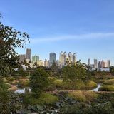 Benjakitti-Park im Bangkok mit Skyline