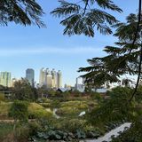 Benjakitti-Park im Bangkok mit Skyline