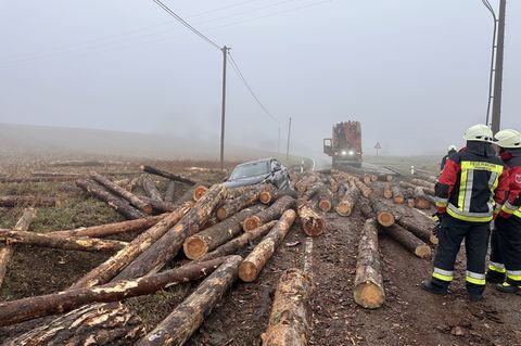 Die Holzstämme rollten über Fahrbahn und Bankett und trafen unter anderem einen Wagen im Gegenverkehr. (Symbolbild) Foto: Kirber
