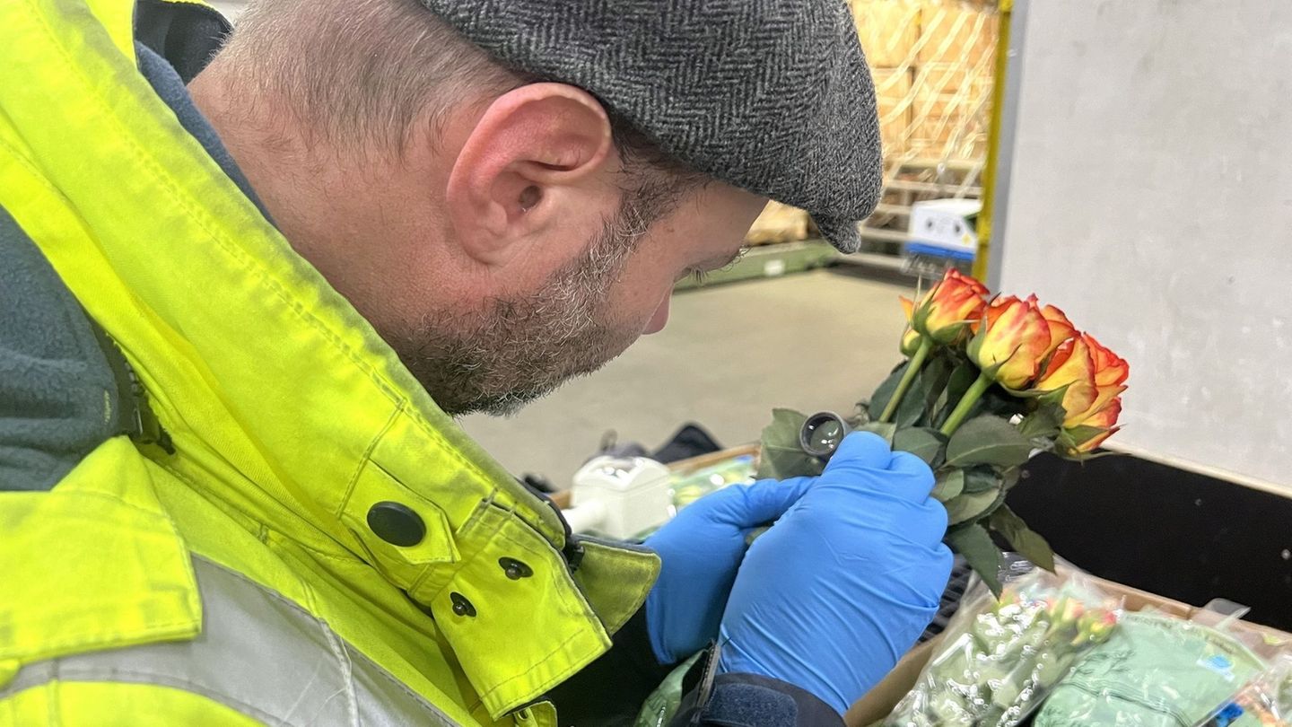 Zierpflanzen, Obst und Gemüse: Rekord bei Pflanzen- und Lebensmittelkontrollen am Flughafen