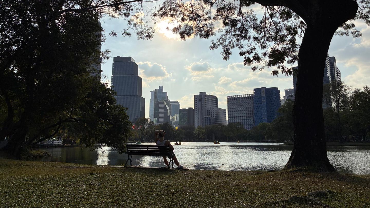 Lumphini-Park Bangkok Totale