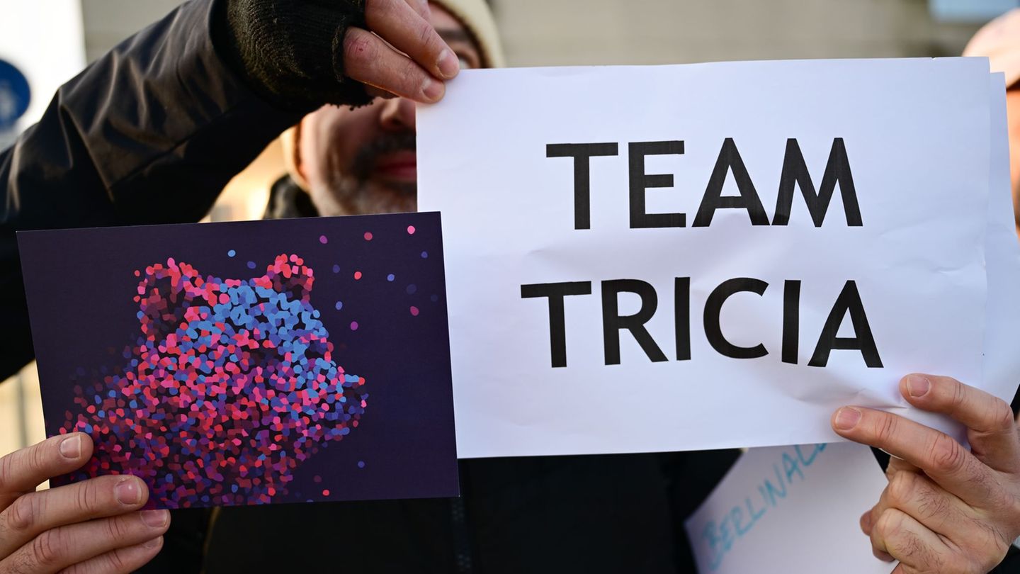 Filmfestspiele: Berlinale-Mitarbeiter stellen sich hinter Tuttle