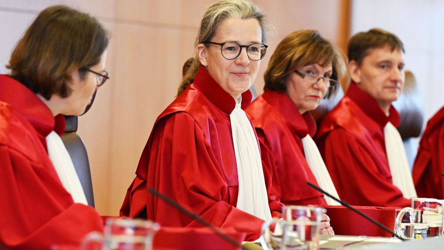 Abgeordnetenrechte: Zu schnell? Karlsruhe prüft Weg zum Heizungsgesetz