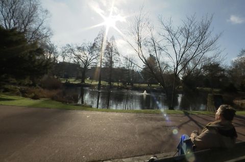 Eine Person sitzt auf einer Parkbank in der Sonne.