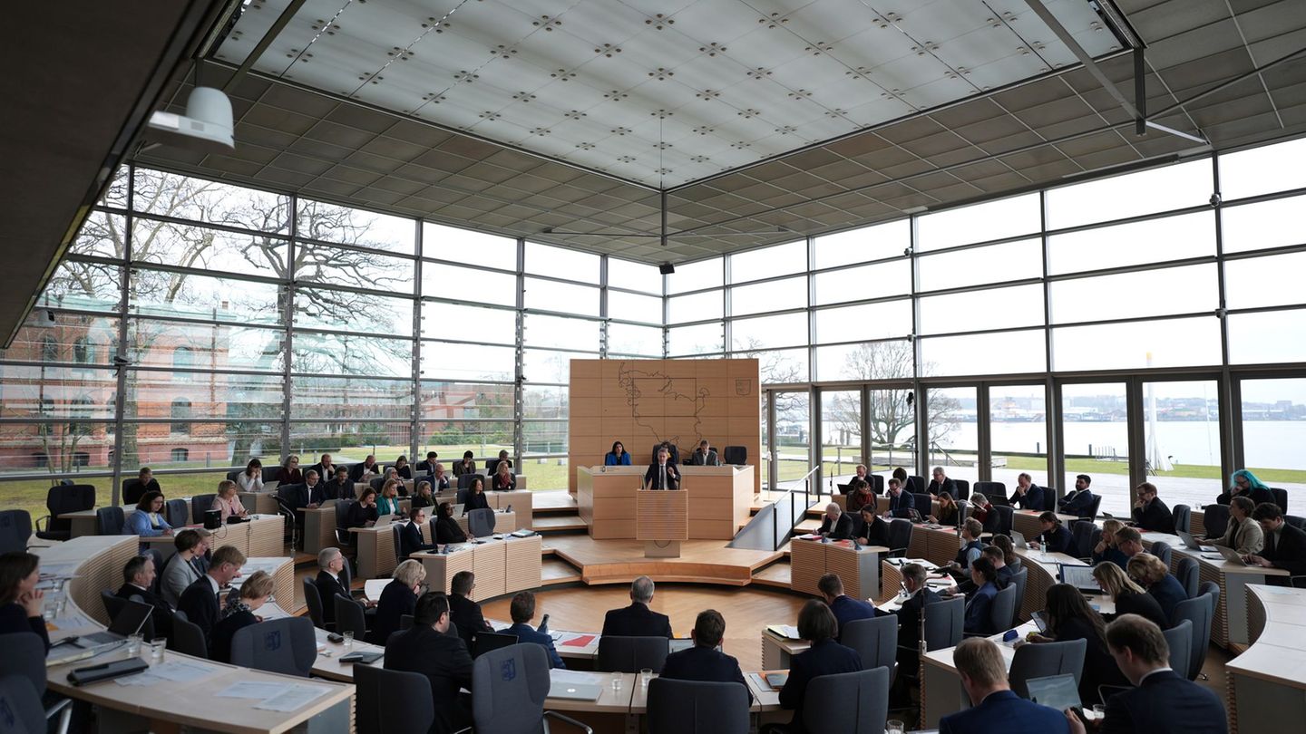 Schwangerschaftsabbrüche in der Region Flensburg erhitzen die Gemüter im Landtag. Foto: Marcus Brandt/dpa
