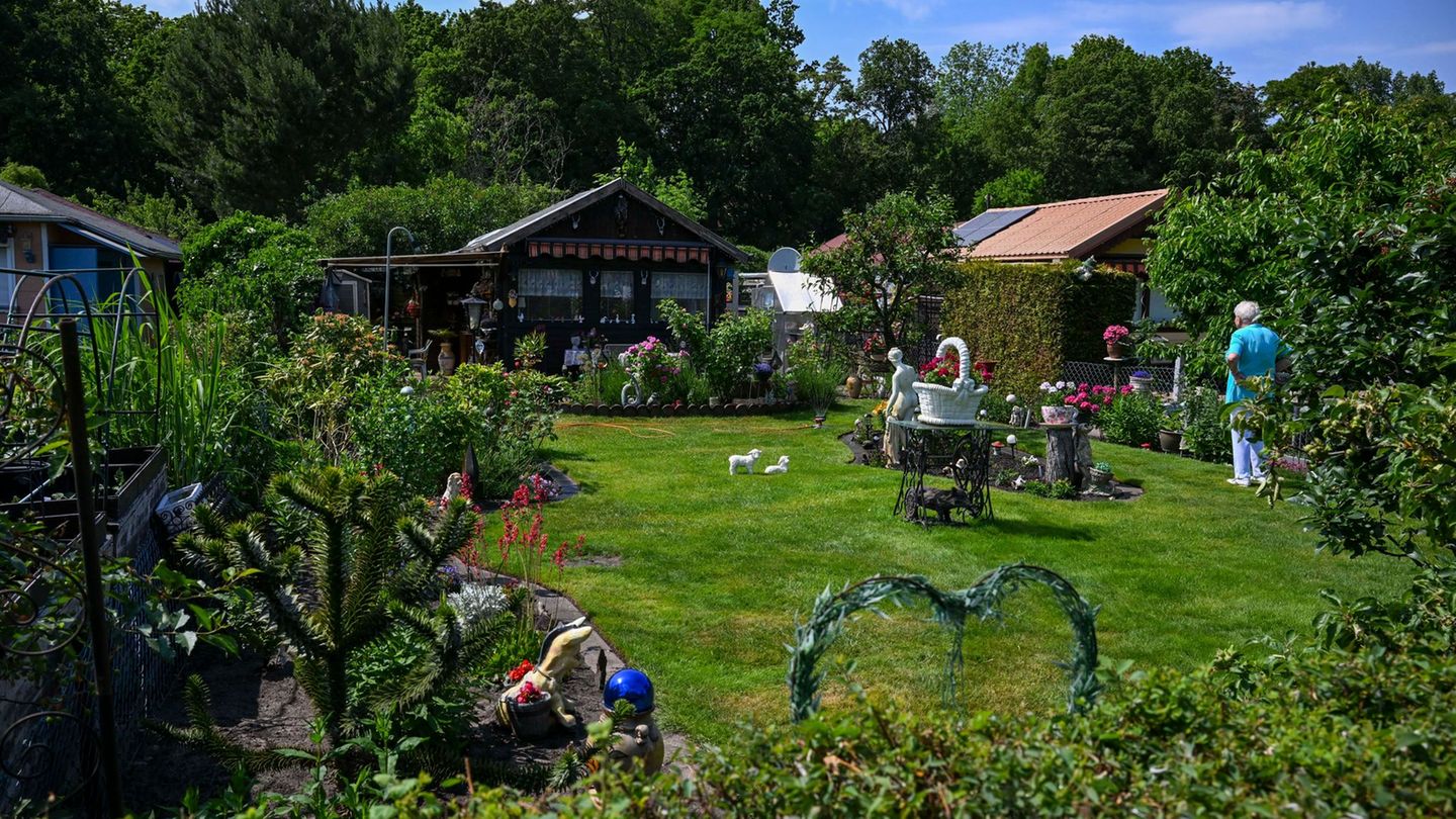 In Berlin gibt es rund 70.000 Kleingärten. (Archivbild) Foto: Jens Kalaene/dpa