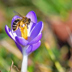 Die Temperaturen in Bayern steigen weiter. Foto: Malin Wunderlich/dpa