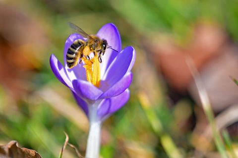 Die Temperaturen in Bayern steigen weiter. Foto: Malin Wunderlich/dpa