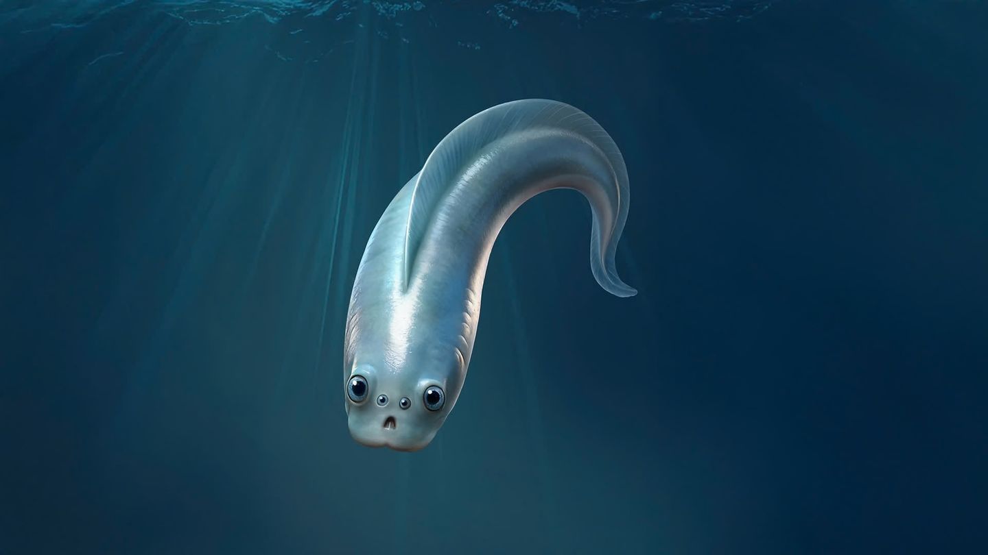 Evolution: Unser ältester Vorfahr hatte vier Augen