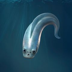 Eine Illustration eines entfernten Verwandten aus der Zeit des Kambriums