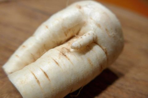 Penisvergrößerung Pastinake