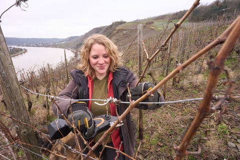 Winzerin Kira Blinn hofft, dass der Frost ihre Reben keinen Schaden zufügt. Foto: Thomas Frey/Thomas Frey