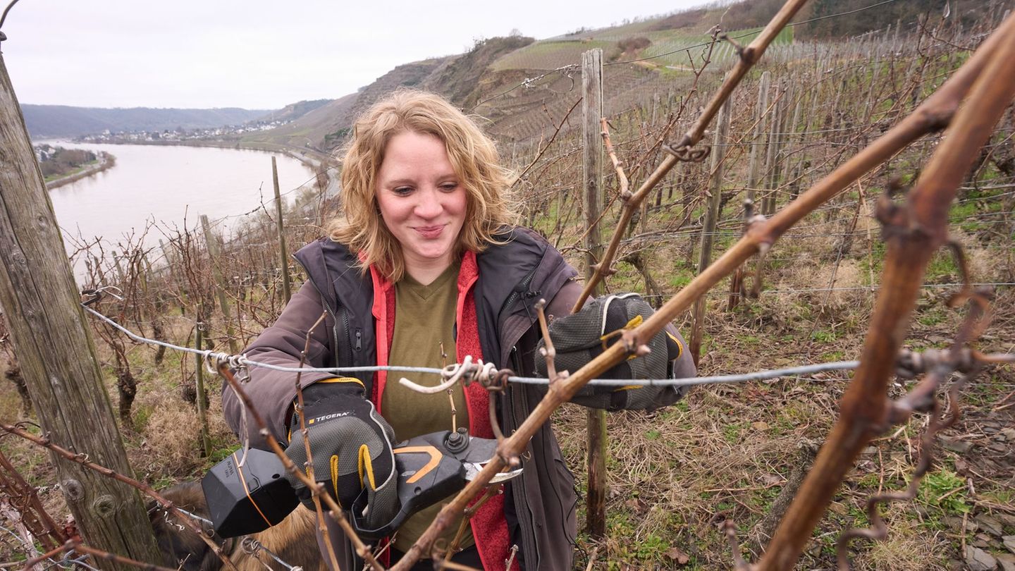 Winzerin Kira Blinn hofft, dass der Frost ihre Reben keinen Schaden zufügt. Foto: Thomas Frey/Thomas Frey