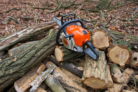 Laut der für Waldarbeiter zuständigen Gewerkschaft sollen auch Motorsägen bei der Demo vor den Tarifgesprächen zu hören sein. (S