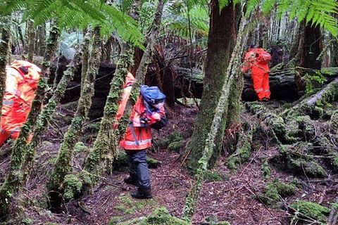 Einsatzkräfte suchten 2023 die dichten Wälder Tasmaniens in Australien nach der 31-jährigen Celine Cremer ab