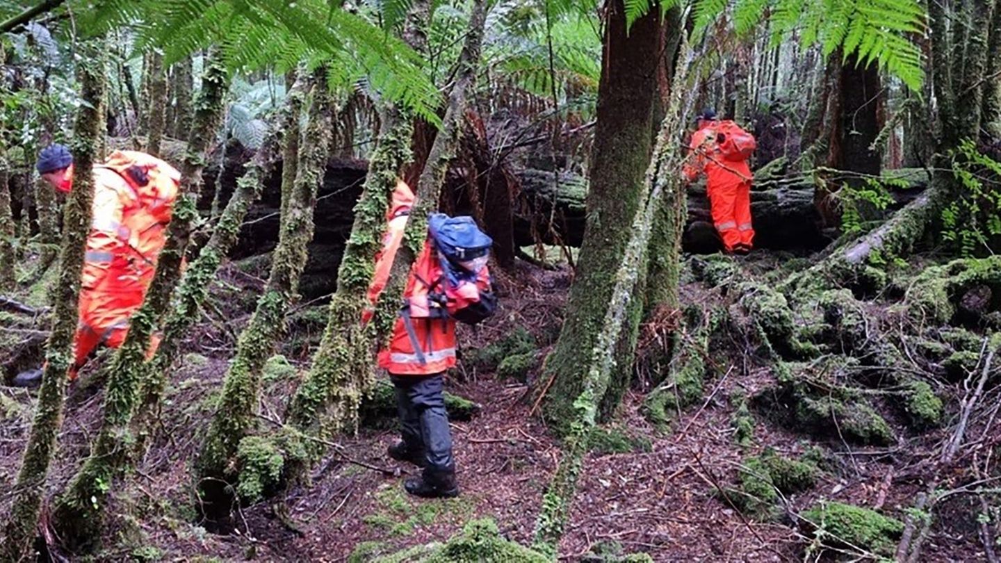 In der Wildnis verirrt: Vermisste belgische Backpackerin in Australien identifiziert