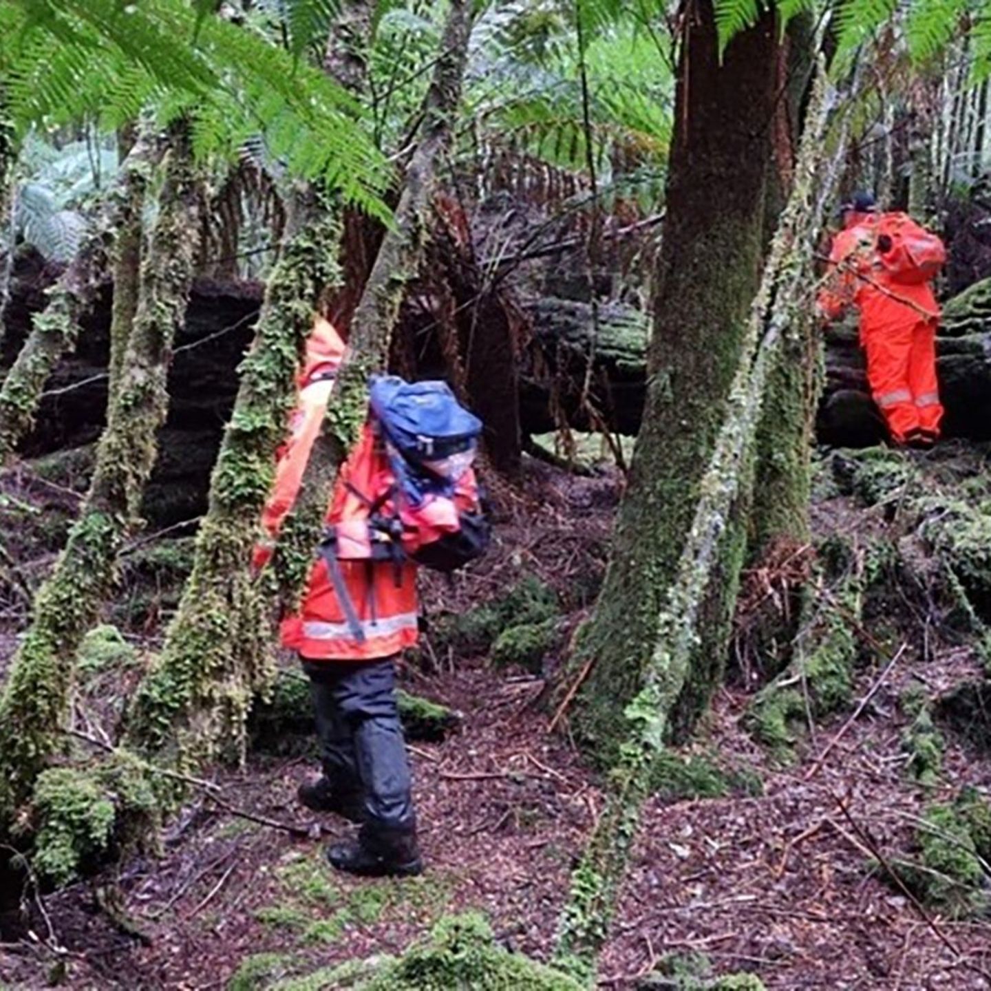 Einsatzkräfte suchten 2023 die dichten Wälder Tasmaniens in Australien nach der 31-jährigen Celine Cremer ab