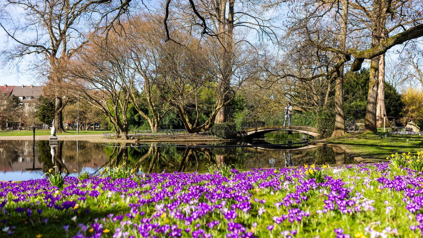 Wetterbericht: DWD erwartet bis zu 23 Grad – Februar-Allzeithoch in Sicht