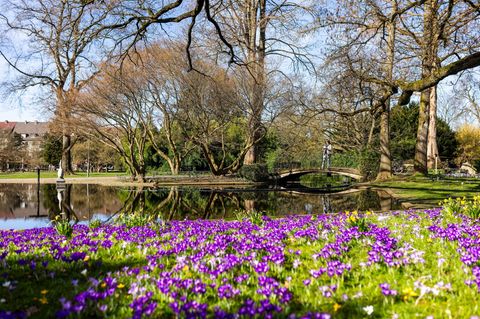 Es könnte ein historisch warmer Tag in Baden-Württemberg werden. Foto: Philipp von Ditfurth/dpa